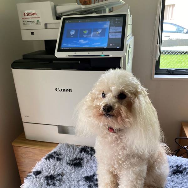 Image of 2022 Community Grant Winner, Hearing Dogs for New Zealand with a Canon printer in the background