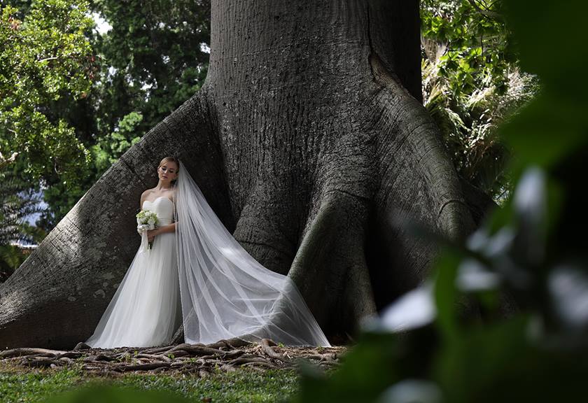Wide shot image of bride standing under tree