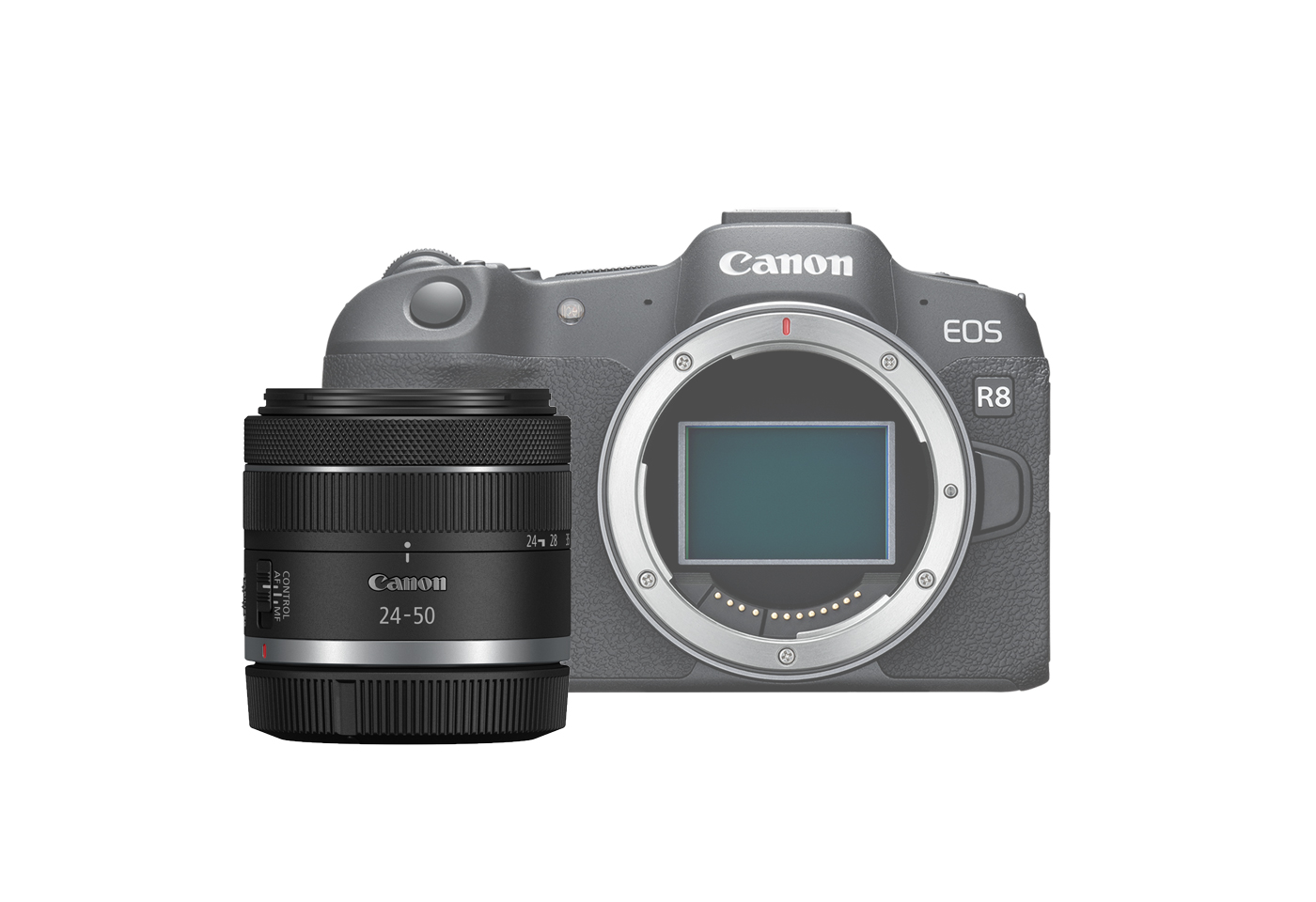 EOS R8 mirrorless camera with RF 24-50mm f/4.5-6.3 IS STM