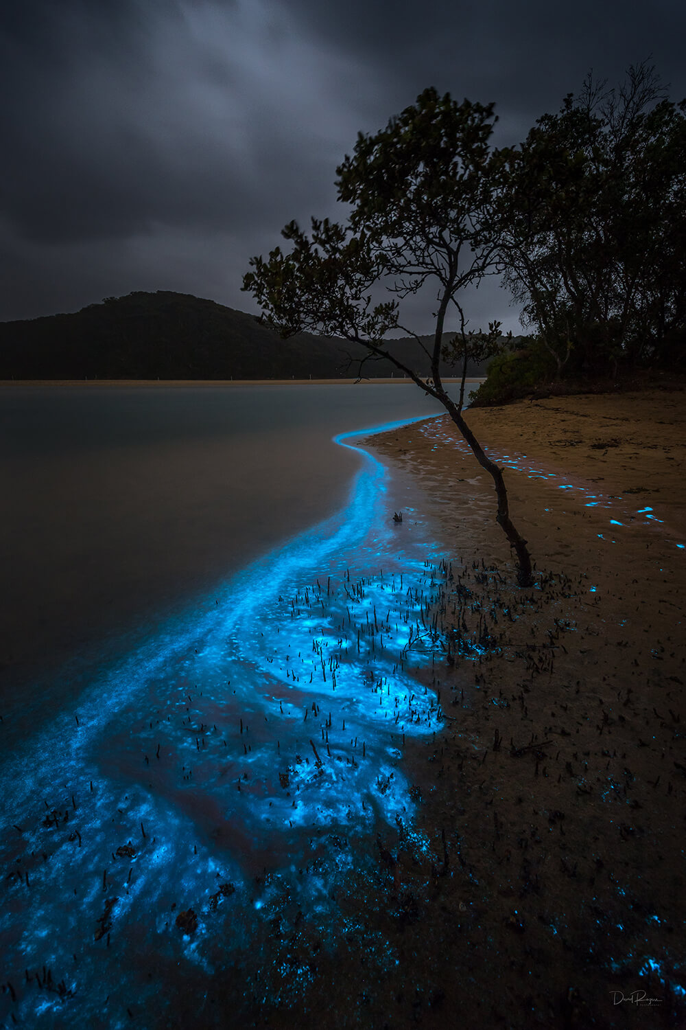 Bioluminescence photo shot on a EOS 6D Mark II and EF 16-35mm f/4L IS USM Lens by Davey Rogers