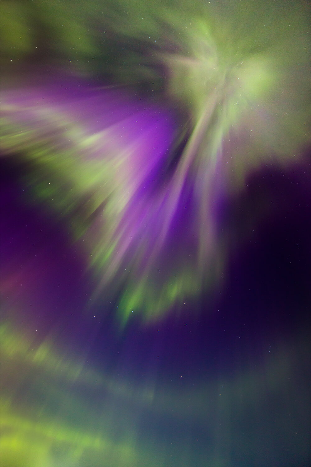 photo of the Northern lights with green and purple tones. Shot by Neil Bloem