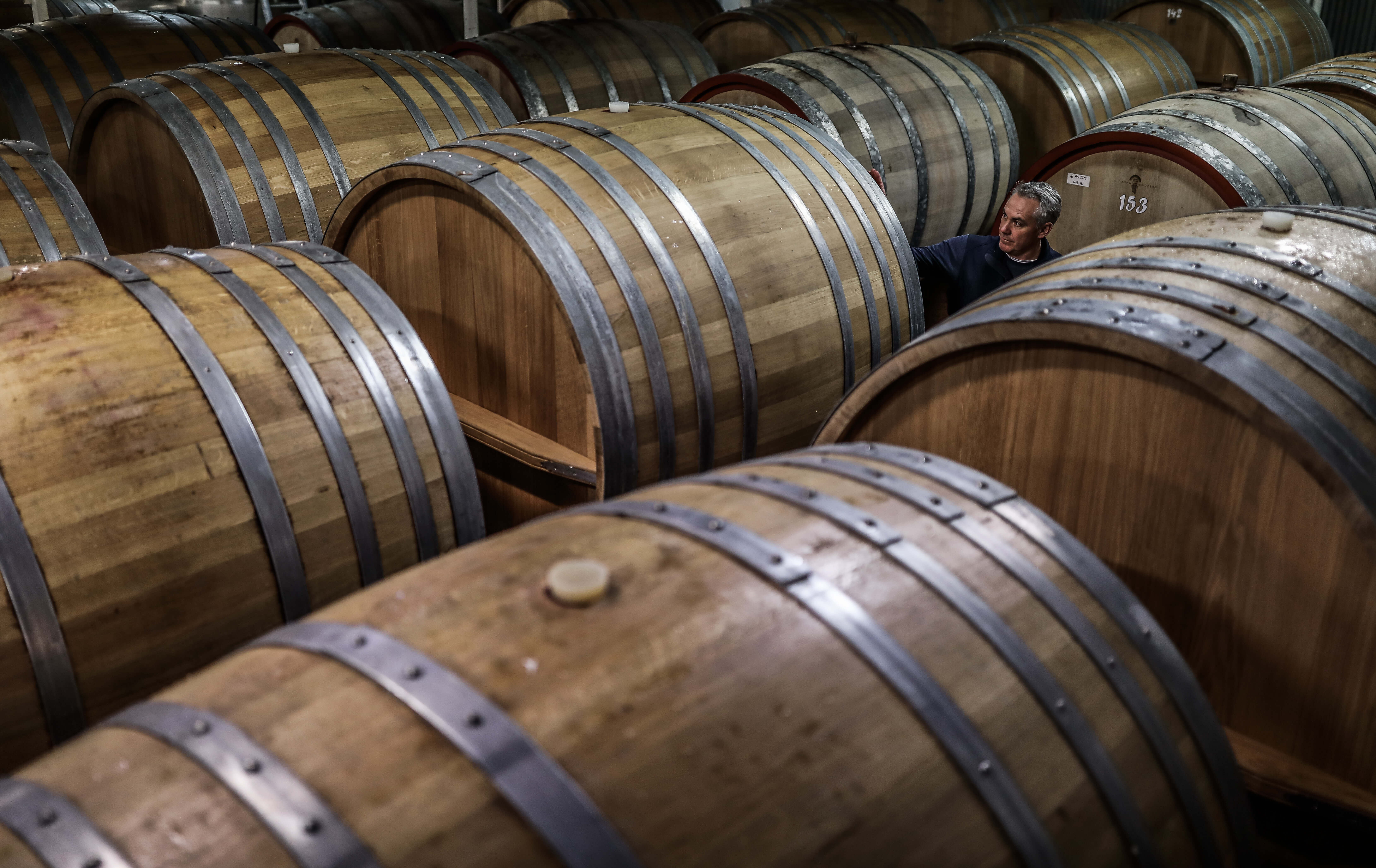 Portrait of a winemaker with wine barrels