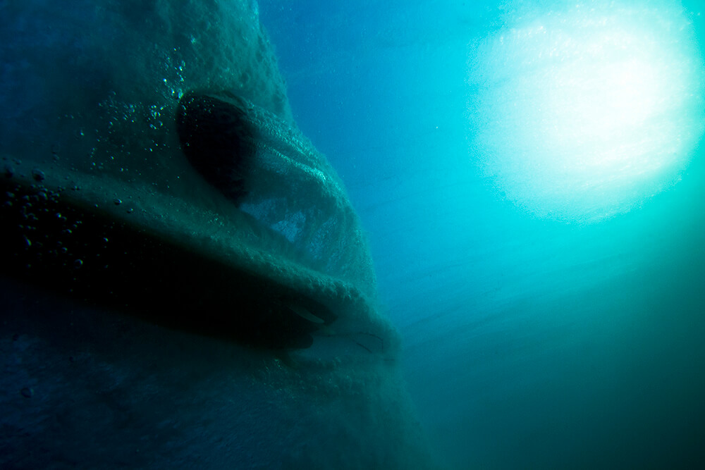 Underwater image of surfer