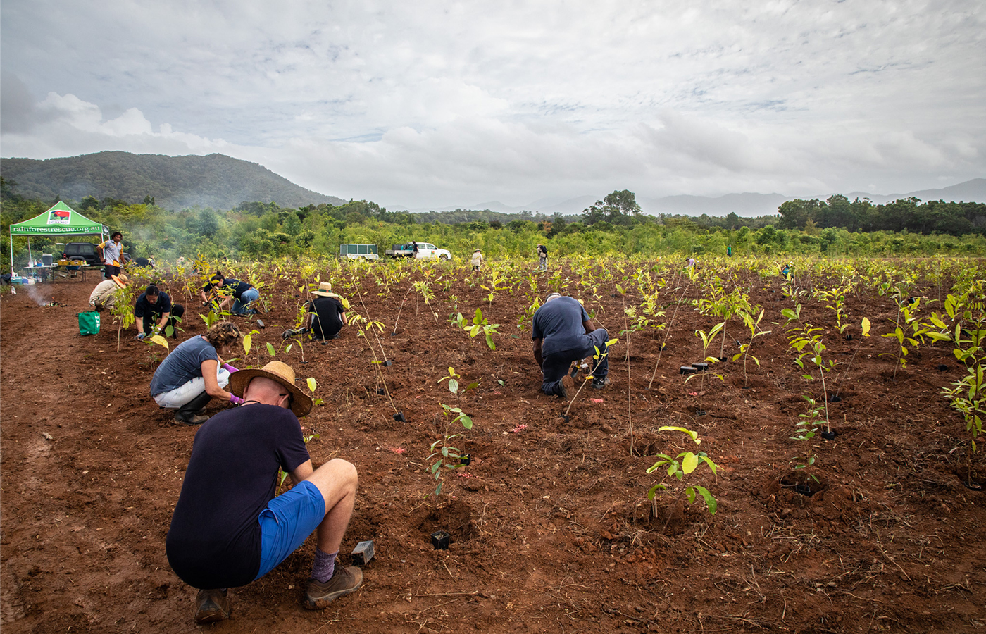 Climate and the rainforest - Rainforest Rescue