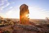 Image of Living Desert Sculpture by Jenn Cooper, Canon Oceania Employee, taken on a Canon EOS R5