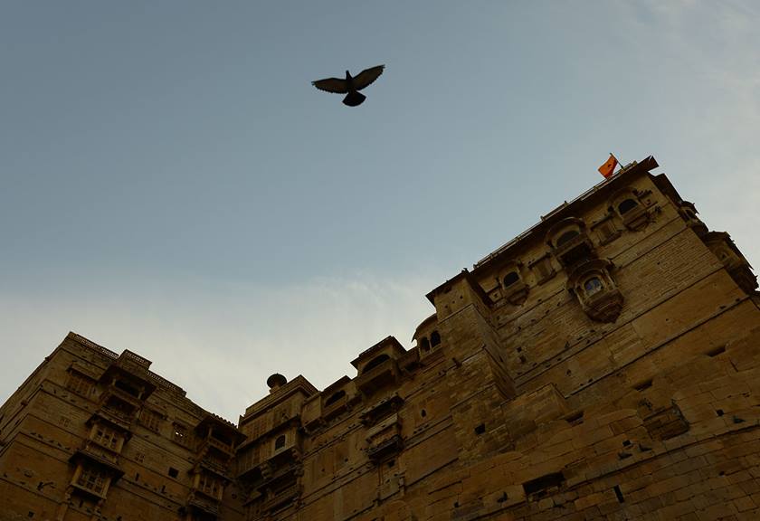 Image of a bird flying in the sky with buildings