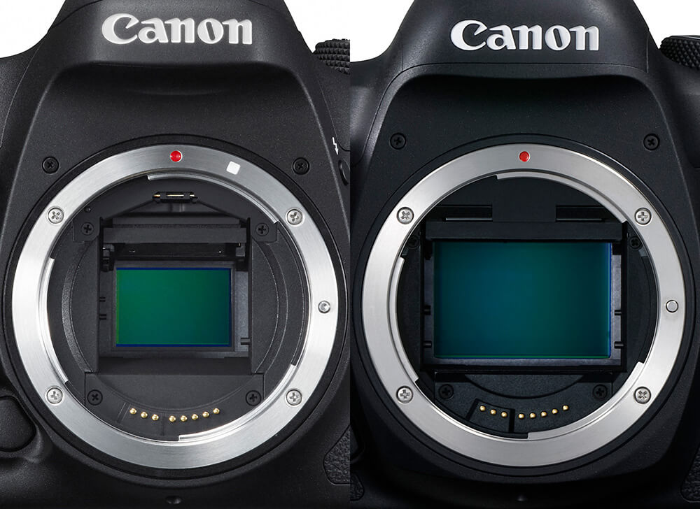 T ik betwijfel het native The Advantages of a Full Frame Camera | Canon Australia