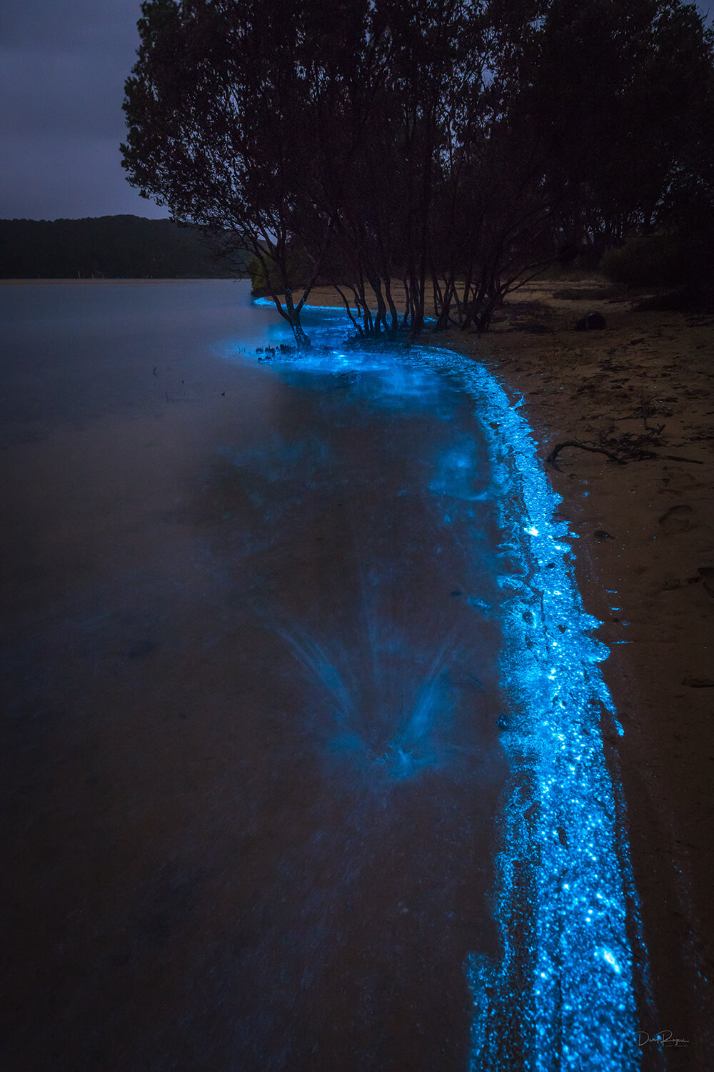 Bioluminescence photo shot on a EOS 6D Mark II and EF 16-35mm f/4L IS USM Lens by Davey Rogers