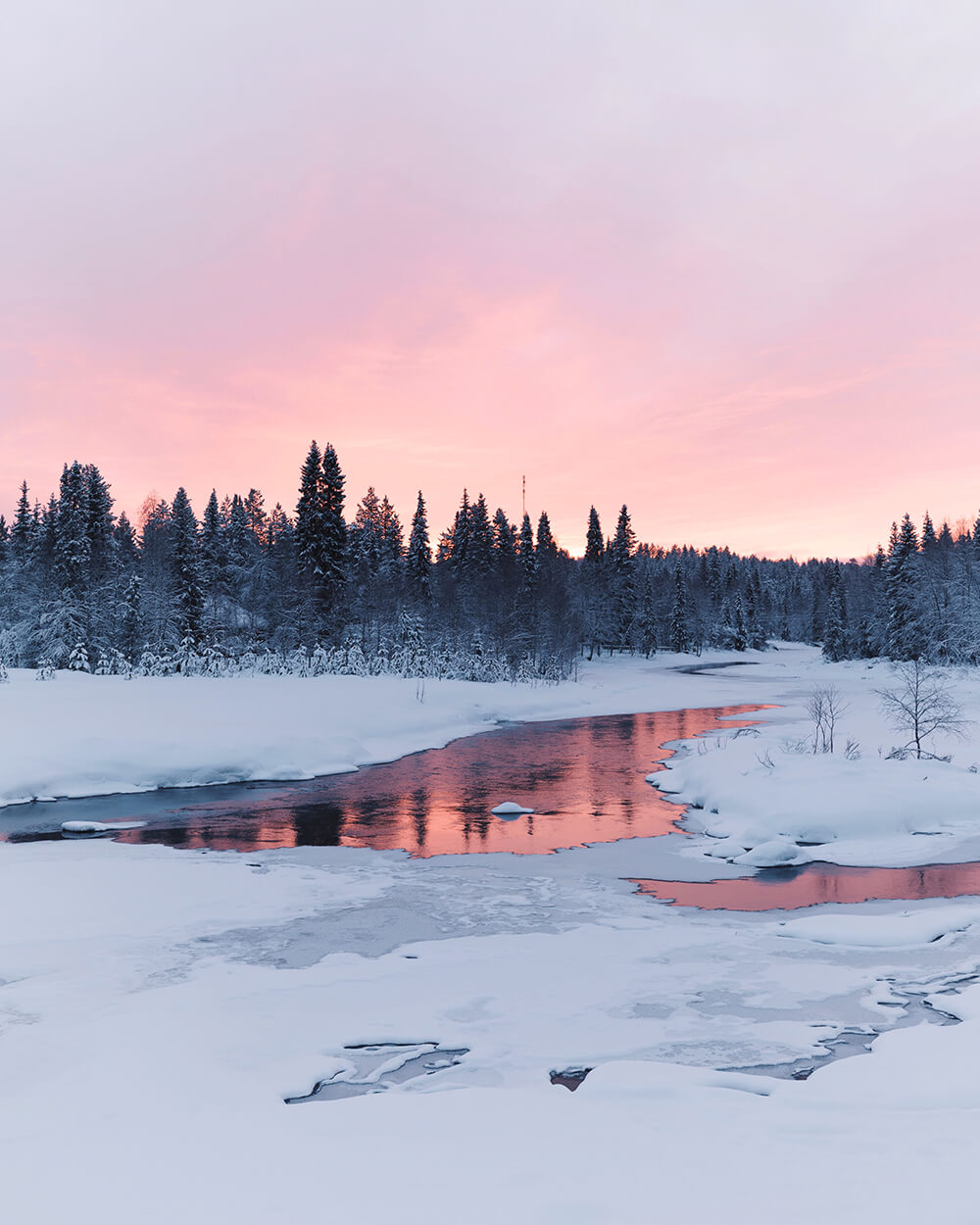 Image of a lake in the Pallas-Yllästunturi National Park. Photo by Elaine Li